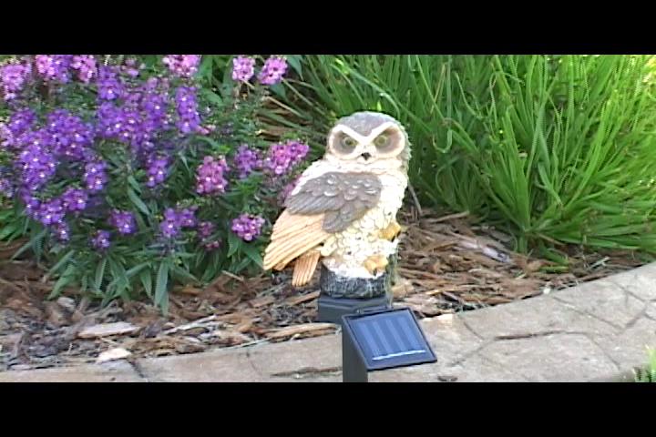 garden owl